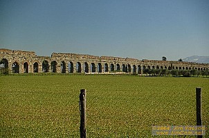 dscf0463.jpg