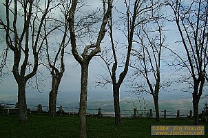 dscf1564.jpg
