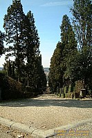 dscf1784.jpg