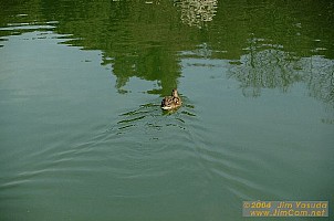 dscf1785.jpg