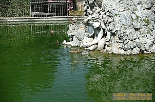 dscf1787.jpg